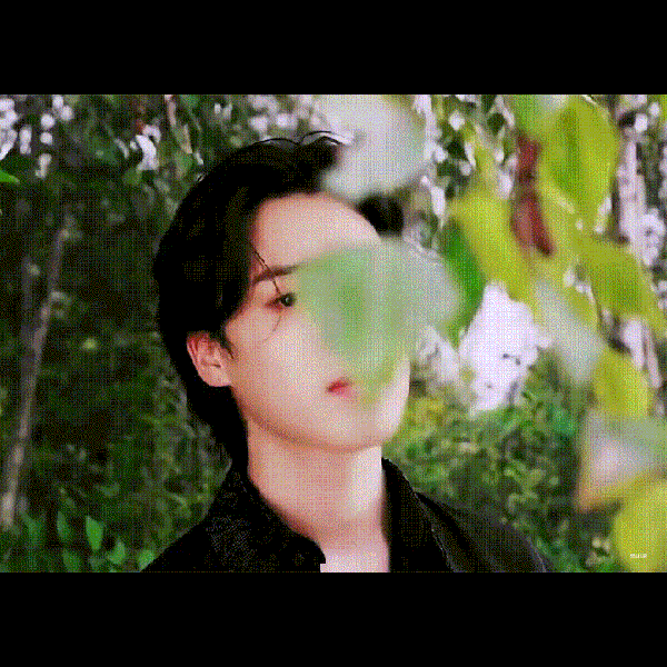 今日最も愛されたジミン (BTS)の姿