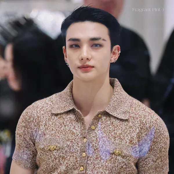 Hyunjin (Stray Kids)