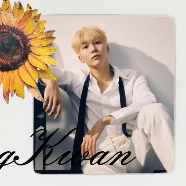 充滿粉絲愛意的勝寛 (SEVENTEEN)人氣照片