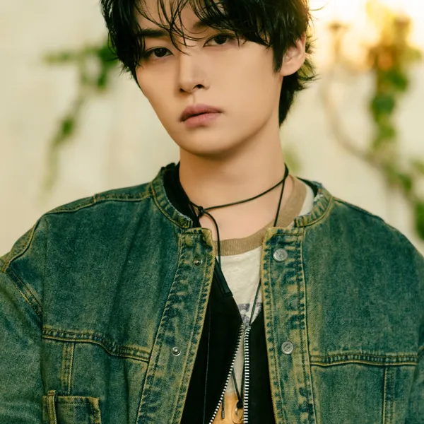 Top Photo Full of Lee Know (Stray Kids) Love