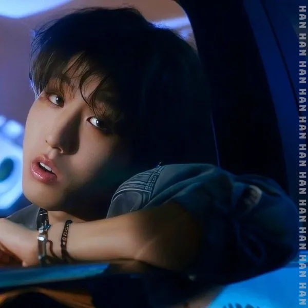 Fans' Pick: Best Moment of HAN (Stray Kids)