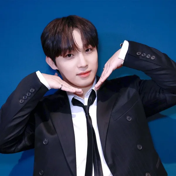 Top Photo Full of Lim Hyunsik (BTOB) Love