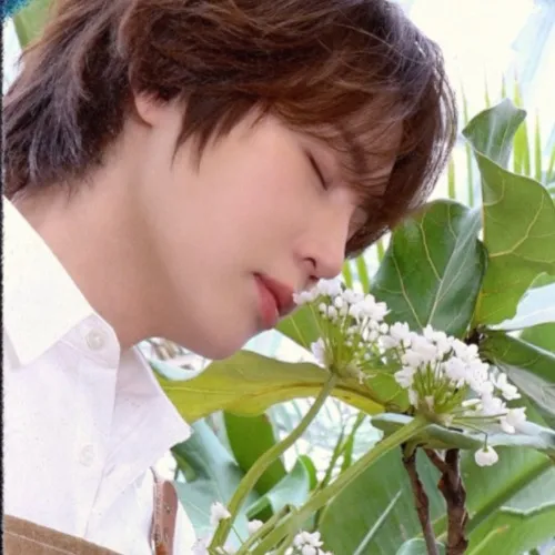 Fans' Pick: Best Moment of Ha Sungwoon