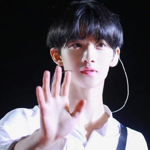 배진영 팬심 가득한 인기 사진