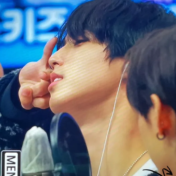 Fans' Pick: Best Moment of HAN (Stray Kids)