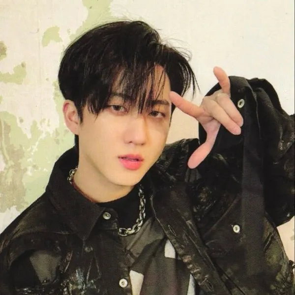 Today's Most Loved Changbin (Stray Kids)