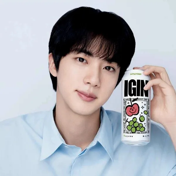 捕捉到Jin (防弹少年团)魅力的代表照片