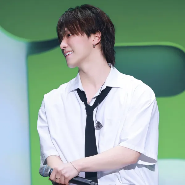 Today's Most Loved Dino (SEVENTEEN)