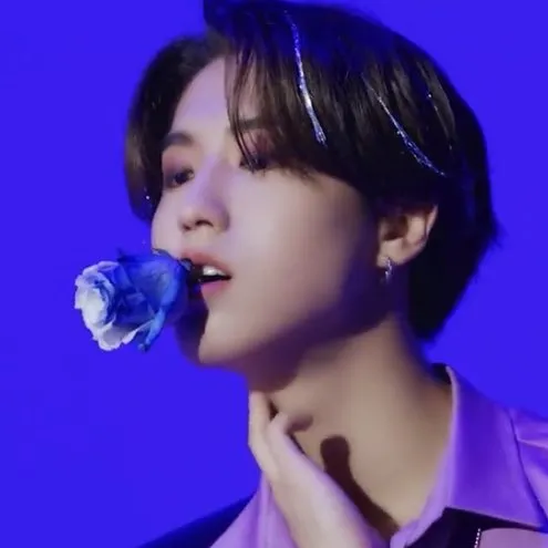 Fans' Pick: Best Moment of HAN (Stray Kids)