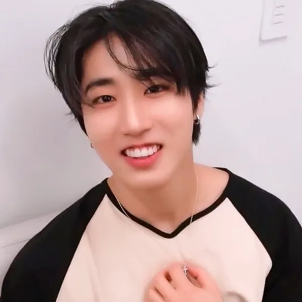 Fans' Pick: Best Moment of HAN (Stray Kids)