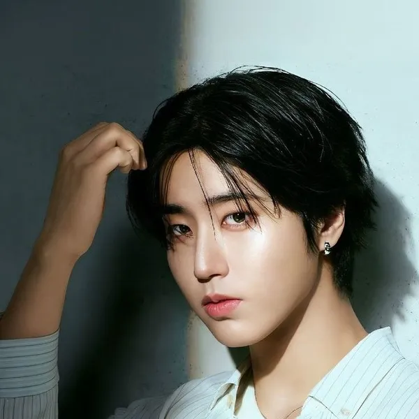 今日最受喜愛的HAN (Stray Kids)