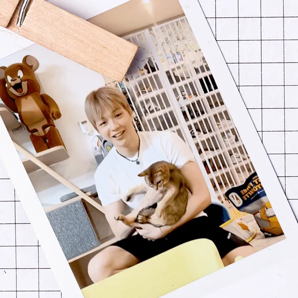 Shining profile picture of Kang Daniel on today's Choeaedol