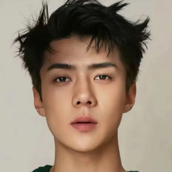 粉丝票选的世勋 (EXO)最佳瞬间