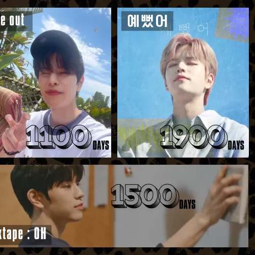 粉絲票選的昇玟 (Stray Kids)最佳瞬間