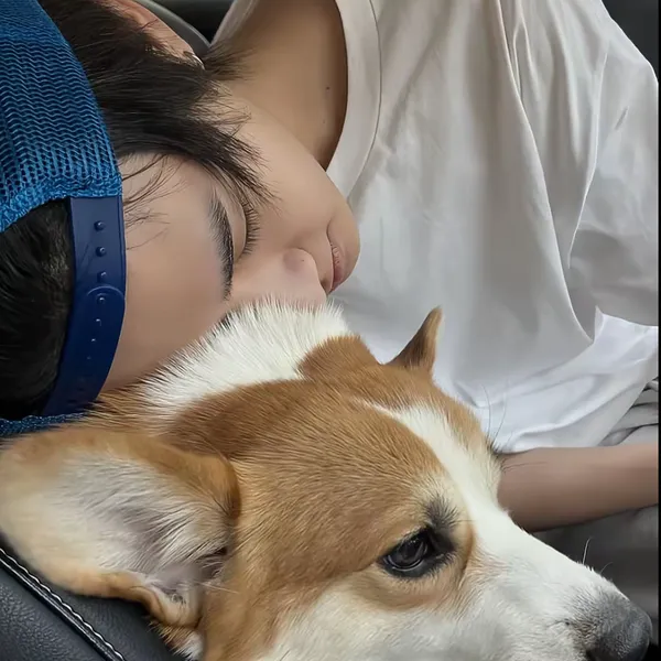 今日最も愛されたThai (BUS)の姿