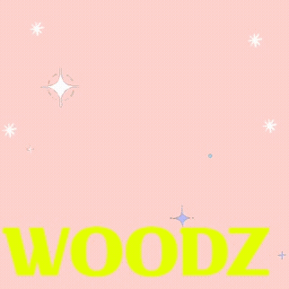 No.1 banner post of WOODZ created by fans