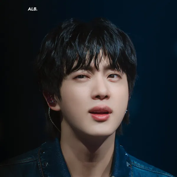 Signature photo of Jin (BTS) capturing their charm