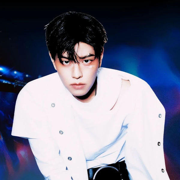 Today's Most Loved Seungmin (Stray Kids)