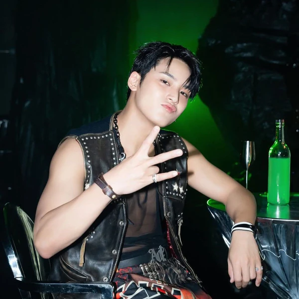 도겸 (세븐틴) 팬심 가득한 인기 사진