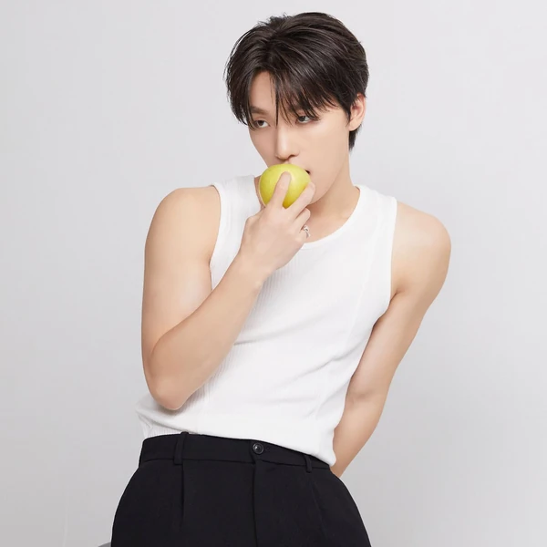 팬들이 뽑은 디노 (세븐틴) 최고의 순간