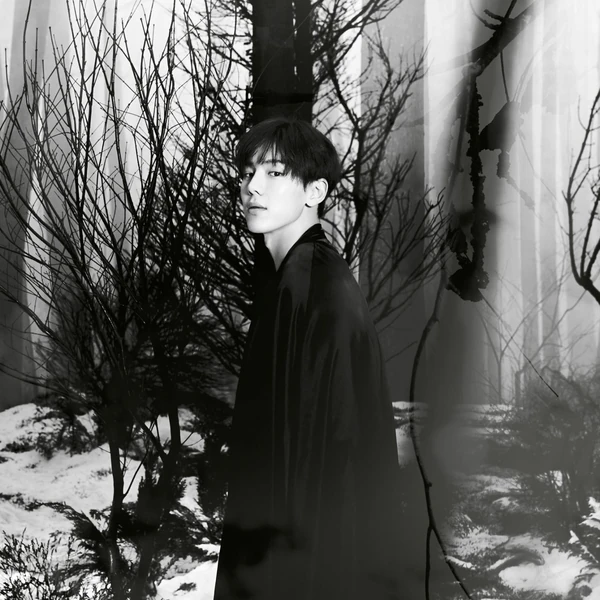 Fans' Pick: Best Moment of Shownu (MONSTA X)