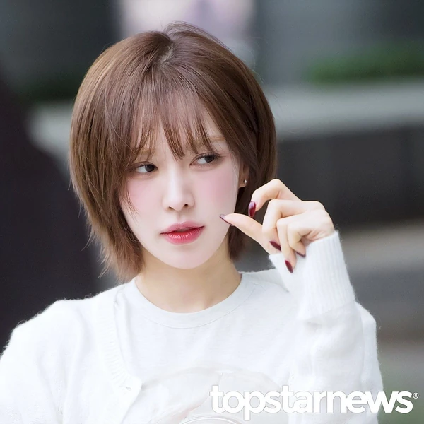 粉丝票选的Wendy (Red Velvet)最佳瞬间