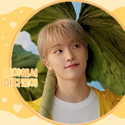 今天最受喜爱的Dino (SEVENTEEN)