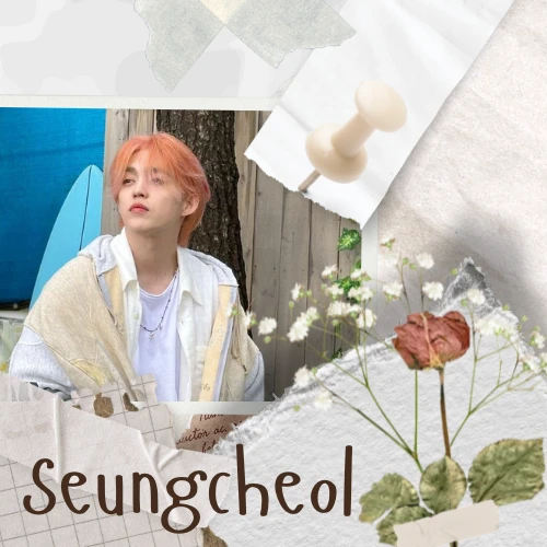 Fans' Pick: Best Moment of S.Coups (SEVENTEEN)