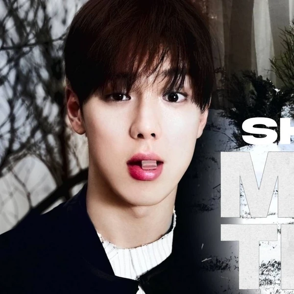 通过投票选出的Shownu (MONSTA X)人气头像