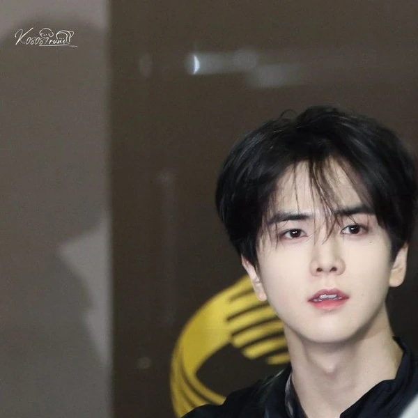 Fans' Pick: Best Moment of Younghoon (THE BOYZ)