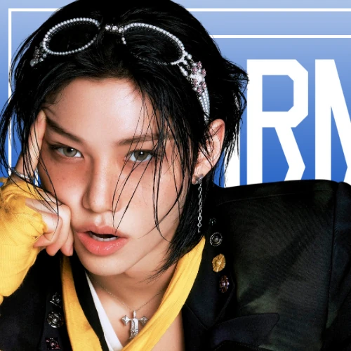 通过投票选出的Felix (Stray Kids)人气头像