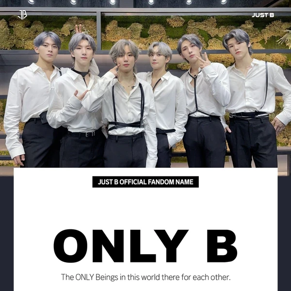 Fans' Pick: Best Moment of Lim Jimin (JUST B)
