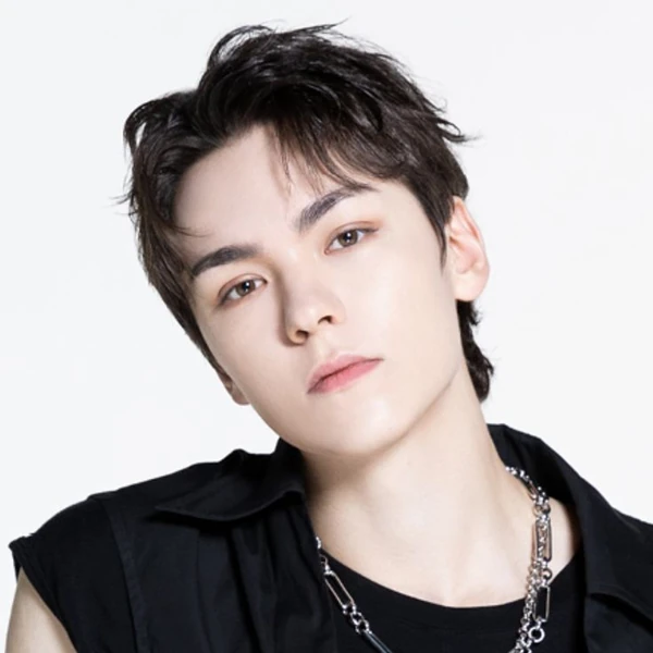 Today's Most Loved Vernon (SEVENTEEN)