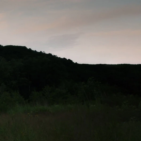 rankingBanner