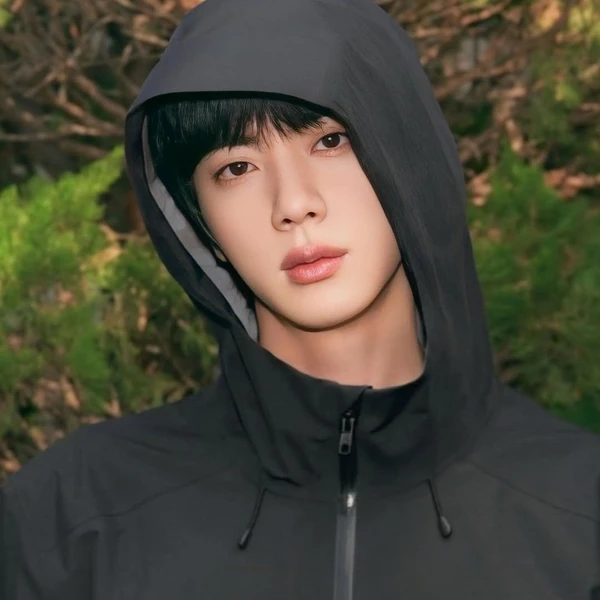 Best moment chosen by Jin (BTS) fandom