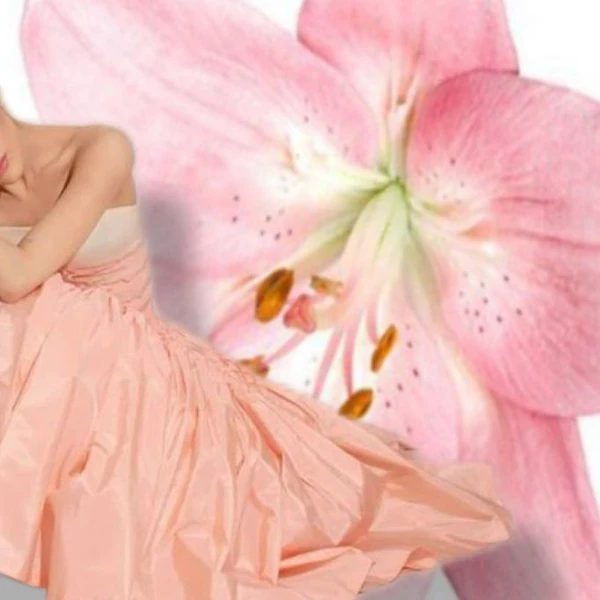 Top Photo Full of Ariana Grande Love