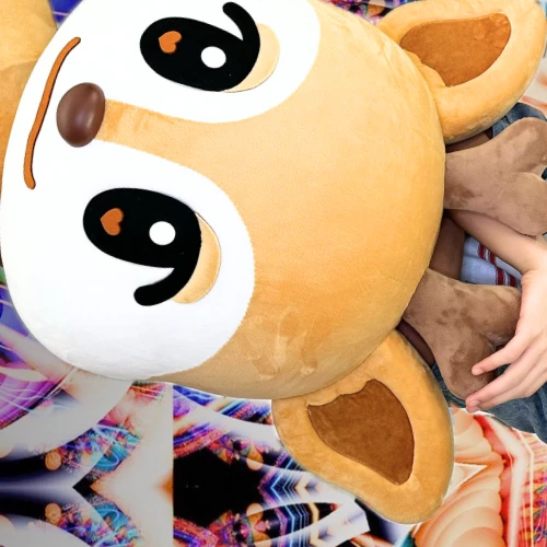 Top Photo Full of Seita (NEXZ) Love