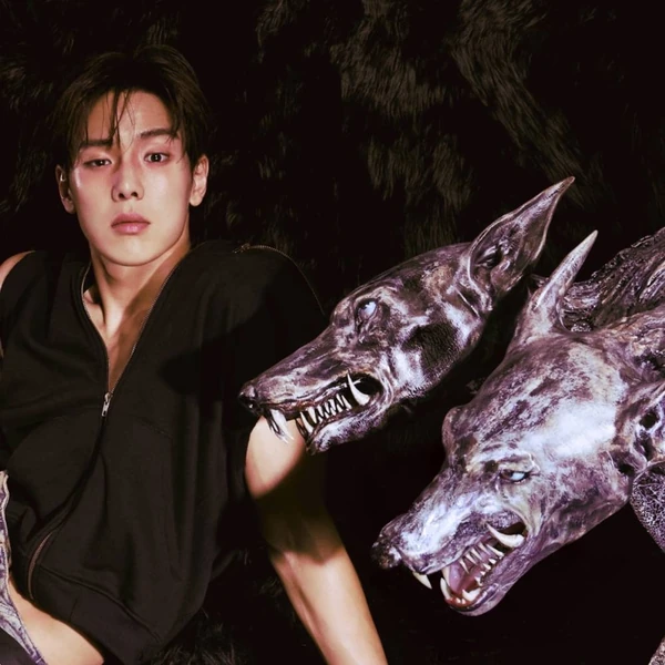 No.1 banner post of Shownu (MONSTA X) created by fans