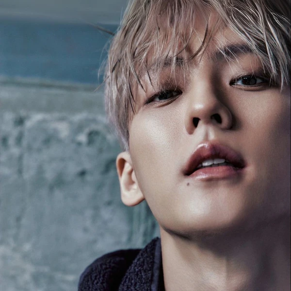 Top Photo Full of Lee Minhyuk (BTOB) Love
