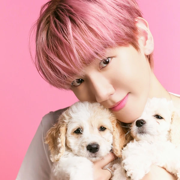 Popular profile image of Baekhyun (EXO) selected by votes