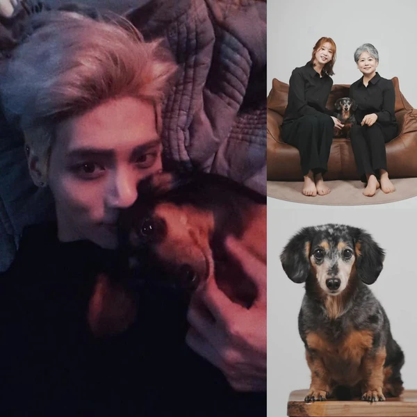 Today's Most Loved Jonghyun (SHINee)