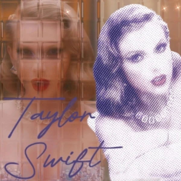 테일러 스위프트 팬심 가득한 인기 사진