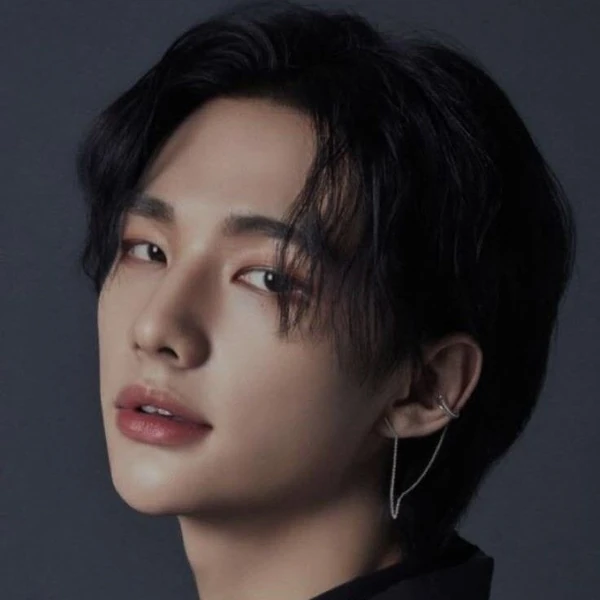 Best moment chosen by Hyunjin (Stray Kids) fandom