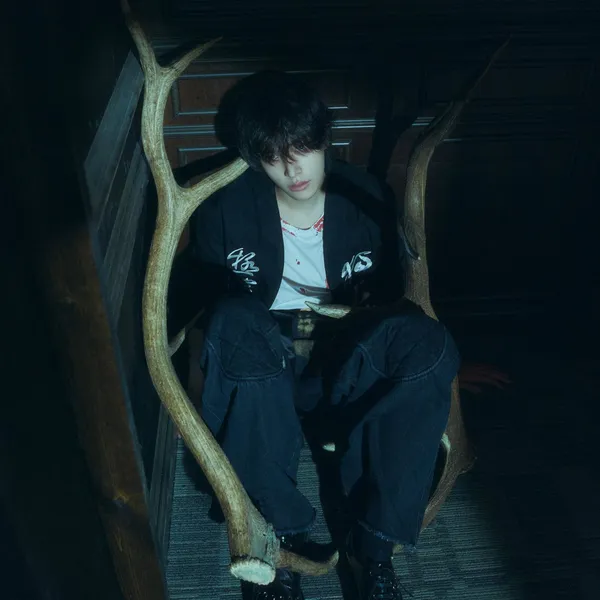 ENHYPEN 팬심 가득한 인기 사진