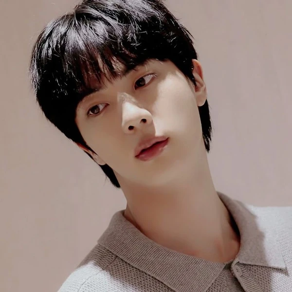 Shining profile picture of Jin (BTS) on today's Choeaedol