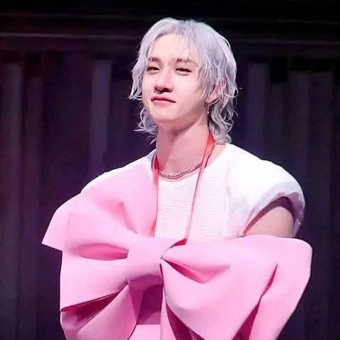 Top Photo Full of Bang Chan (Stray Kids) Love