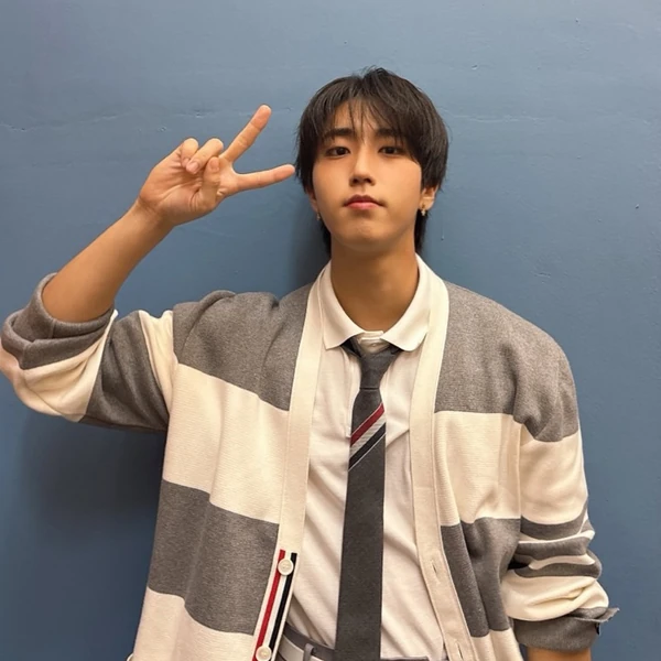 Fans' Pick: Best Moment of HAN (Stray Kids)