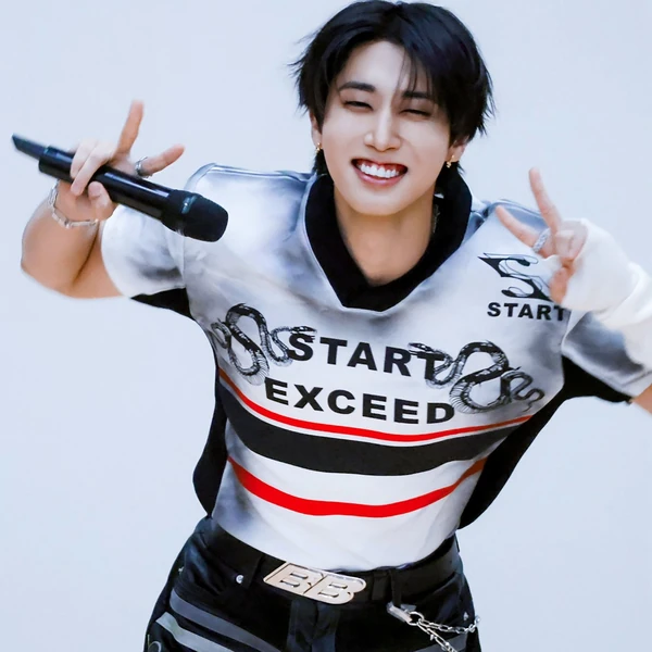 Today's Most Loved HAN (Stray Kids)