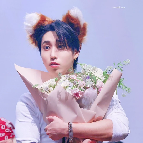 Fans' Pick: Best Moment of HAN (Stray Kids)