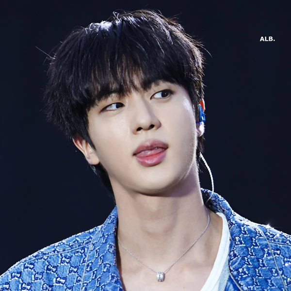 今日最受喜愛的Jin (防彈少年團)